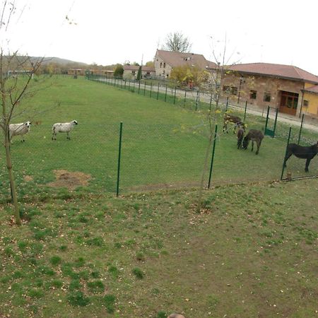 Bungalows Granja Escuela Arlanzón المظهر الخارجي الصورة